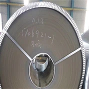 Dovozca Steel Coil Pozinkovaný oceľový plech vo zvitkoch Z60